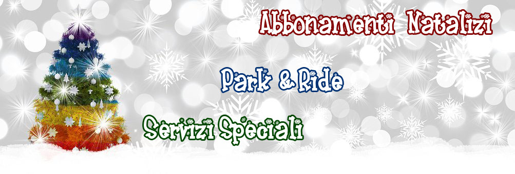 christmas 2985527 340