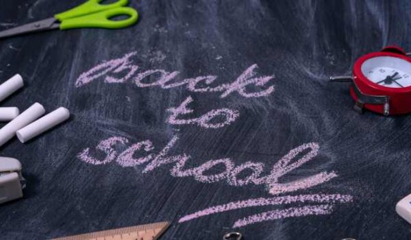 pexels alexandr podvalny 2831794