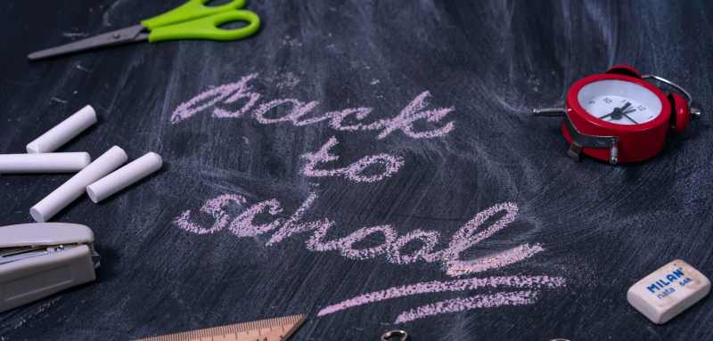 pexels alexandr podvalny 2831794